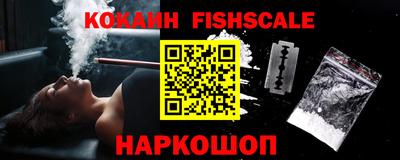 гашик Кунгур