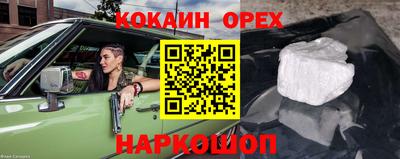 гашик Кунгур