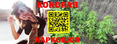 гашик Кунгур
