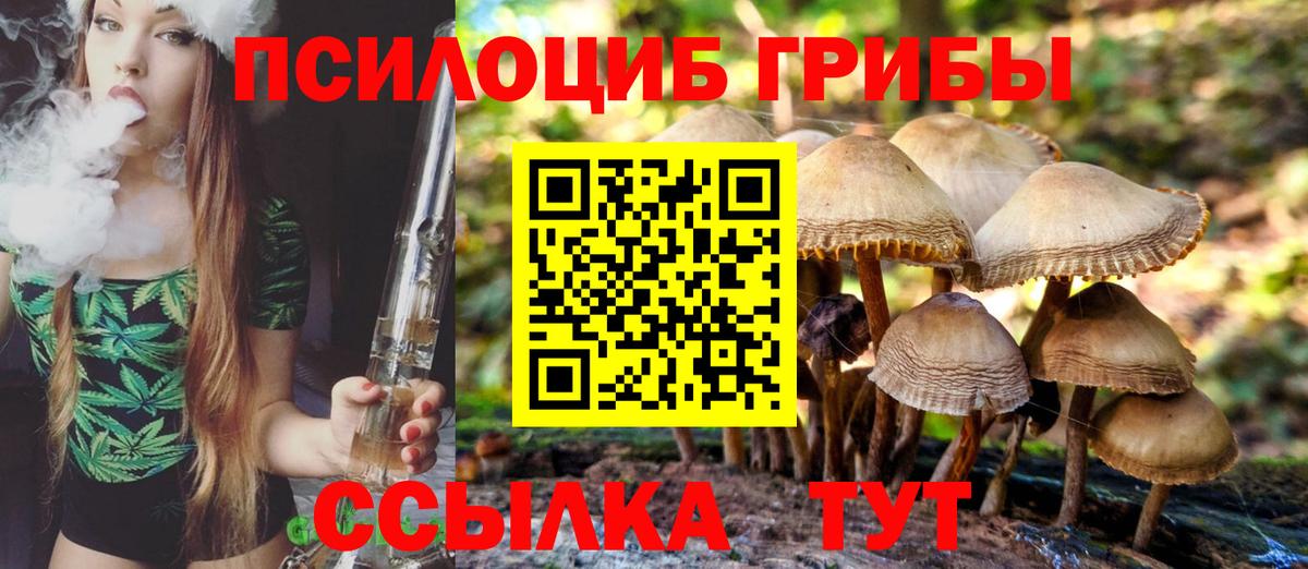 Галлюциногенные грибы мухоморы  Вход с VPN  Железногорск 