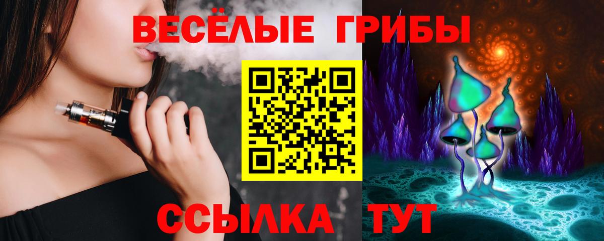 Псилоцибиновые грибы Psilocybe Железногорск